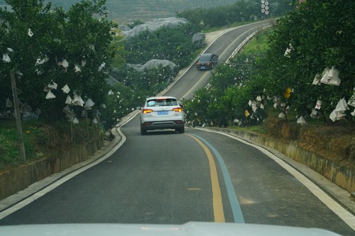 记者驾车体验“四好农村路”，深入桔园等现场采访。1