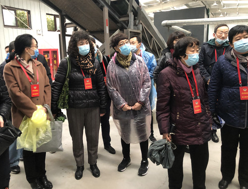 “精致东城”专题视察