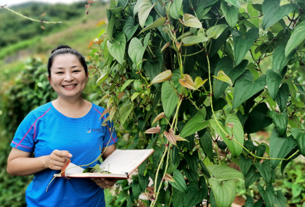 微信图片_20201125104545 微信图片_20201125104545