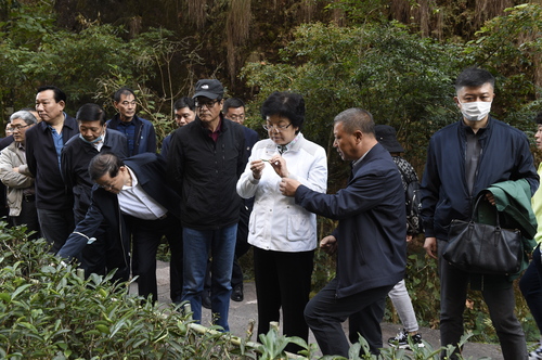 C20201127003-zx8 C20201127003-zx8