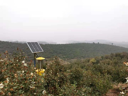 位于信阳光山的司马光油茶园。人民政协网记者 付振强 摄