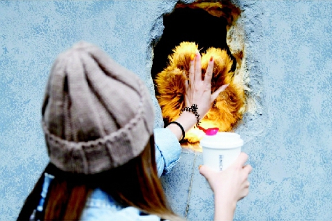 cC2020-12-08zx901_P_1_56_949_800_1445 cC2020-12-08zx901_P_1_56_949_800_1445