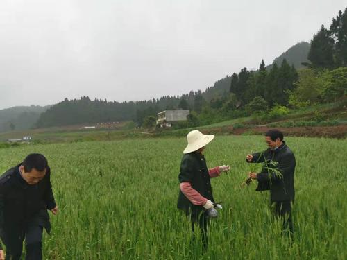 微信图片_20201211123745