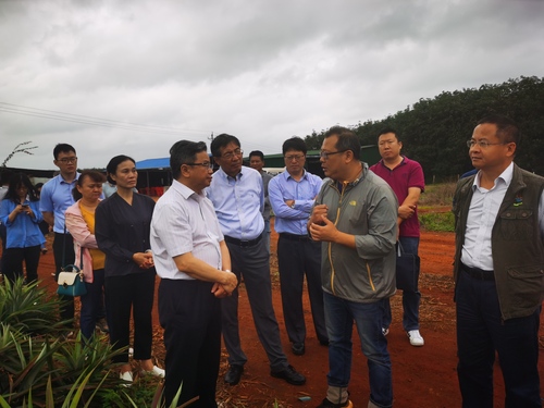 B20201219001-zx6 B20201219001-zx6