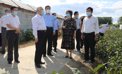 微信图片_20201228094330 微信图片_20201228094330