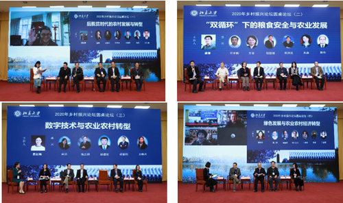 圆桌论坛 圆桌论坛