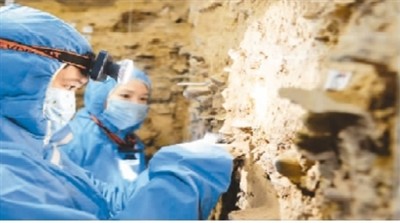 考古工作者在进行DNA样本采集。3