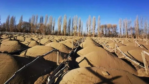 2.webp (2) 2.webp (2)