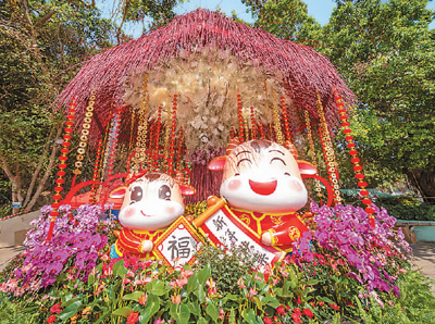 　澳门街头的生肖牛造型花坛。