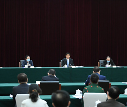 栗战书与致公党、侨联、对外友好界别政协委员共商国是