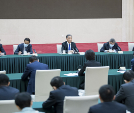 汪洋与民进、九三学社界别政协委员共商国是