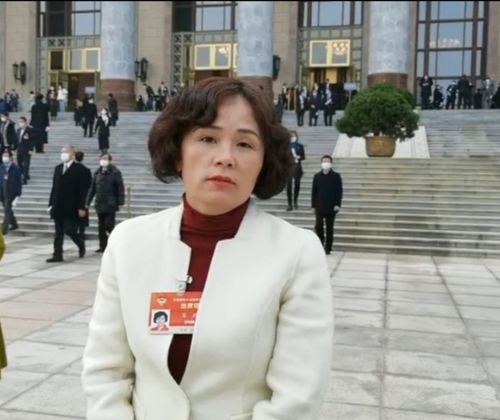 2532448_500x500 2532448_500x500