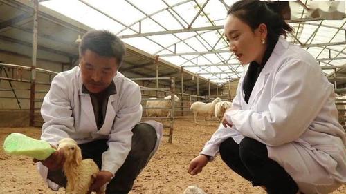 张雅萍(右一)在养殖场工作 受访者供图 张雅萍(右一)在养殖场工作 受访者供图