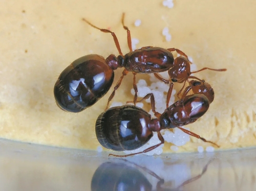 1.webp (3) 1.webp (3)