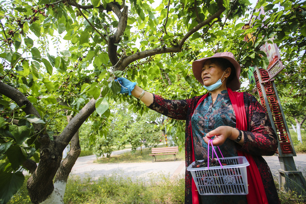 微信图片_20210520205500 微信图片_20210520205500