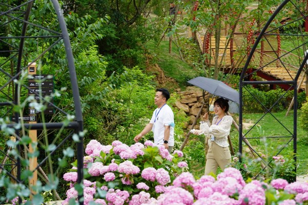 双旗美村的民宿和花海里的游人1