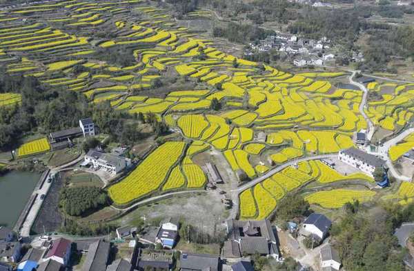 微信图片_20210526175913