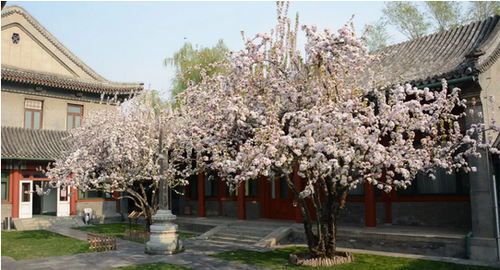 微信截图_20210602111639