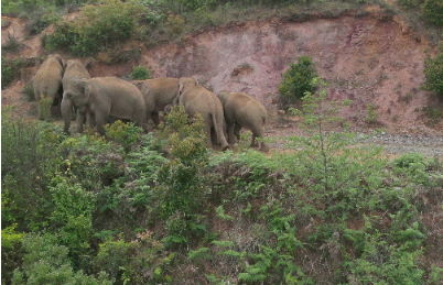 微信截图_20210605162829 微信截图_20210605162829