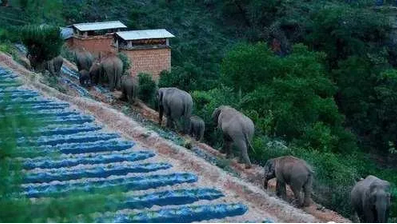 微信截图_20210605162839 微信截图_20210605162839