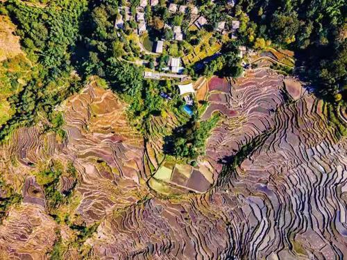 微信图片_20210621131322 微信图片_20210621131322