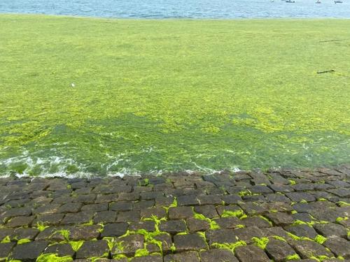 微信图片_20210707144510 微信图片_20210707144510