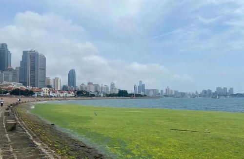 微信图片_20210707144504 微信图片_20210707144504