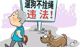 一案一说 | 行人被宠物狗惊吓摔倒，狗主人要担责吗？