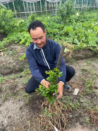 微信图片_20210724214618 微信图片_20210724214618