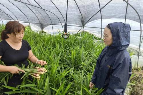 微信图片_20210726145202 微信图片_20210726145202