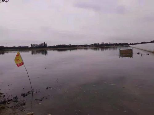 微信图片_20210803093955 微信图片_20210803093955