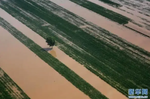 微信截图_20210812095932 微信截图_20210812095932