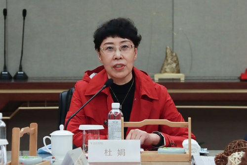 杜娟副主席讲话