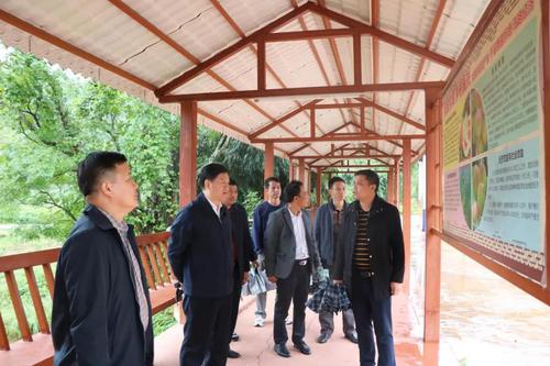 微信图片_20211025193440 微信图片_20211025193440