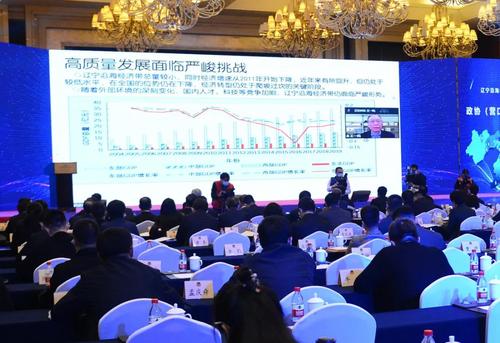 王一鸣在线上做主旨发言。