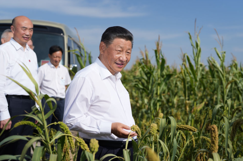 微信截图_20211109102110