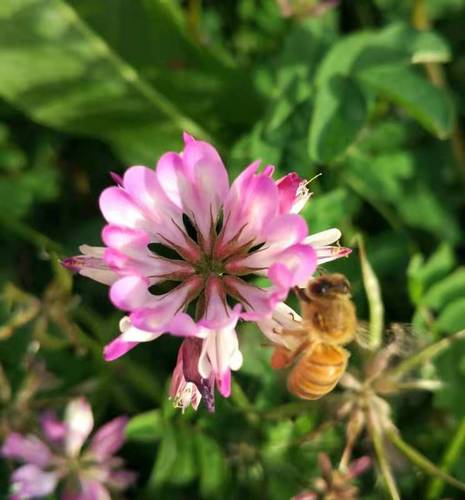 GetAttachment (1) GetAttachment (1)