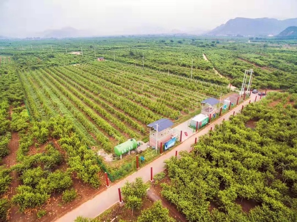 MAIN202112110925000133342928493 MAIN202112110925000133342928493