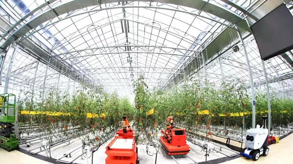 MAIN202112110926000088632812469 MAIN202112110926000088632812469