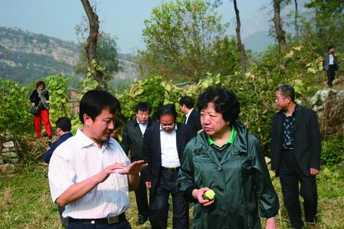 GetAttachment (1) GetAttachment (1)