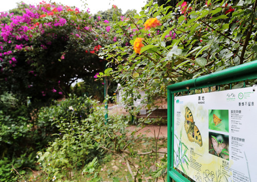 (港澳台·香港故事·图文互动)(2)香港(814293)-20220124103311 (港澳台·香港故事·图文互动)(2)香港(814293)-20220124103311