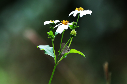 (港澳台·香港故事·图文互动)(3)香港(814295)-20220124103322 (港澳台·香港故事·图文互动)(3)香港(814295)-20220124103322