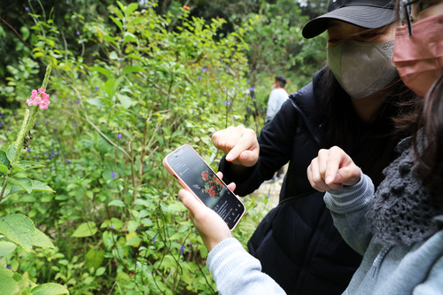 (港澳台·香港故事·图文互动)(4)香港(814294)-20220124103317 (港澳台·香港故事·图文互动)(4)香港(814294)-20220124103317