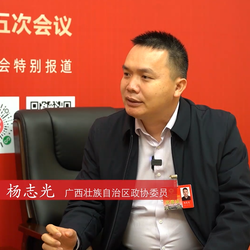 杨志光委员：突出广西优势 大力发展东盟华文教育服务