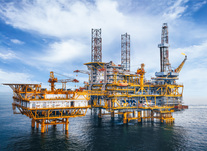 锚定改革发展，推进法治建设  为建成国际一流能源公司提供坚强法治保障