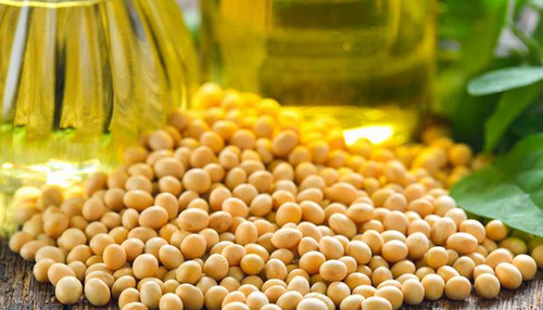 17CAB99457FC99294EED7A7F54F5134D99D717CC_size631_w621_h356 17CAB99457FC99294EED7A7F54F5134D99D717CC_size631_w621_h356