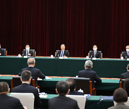 汪洋与民建、工商联界别政协委员共商国是