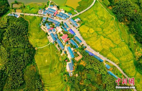 ba25db3fbdb54e418bd83fa994fd93c4 ba25db3fbdb54e418bd83fa994fd93c4