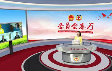 未成年玩网络游戏如何趋利避害，委员们聊得很深入！