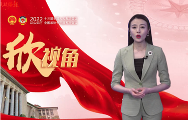 【两会欣视角】惩治网络暴力，法不责众or法“要”责众？